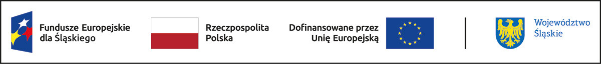 Województwo Śląskie - Pierwszy krok w Kosmos